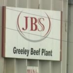 The JBS Resumed Most Of Its Production Following A Cyber Attack.