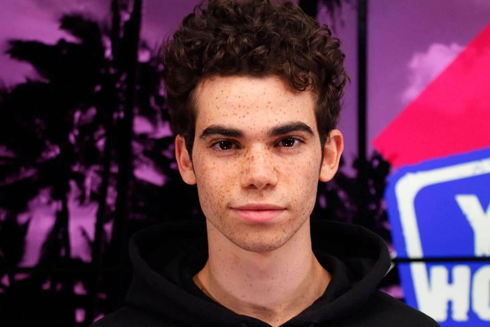 Cameron boyce autopsy reddit